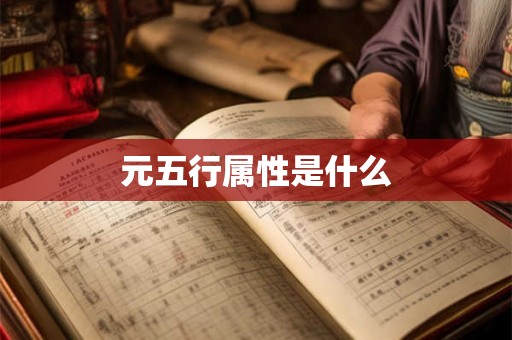 元五行属性是什么