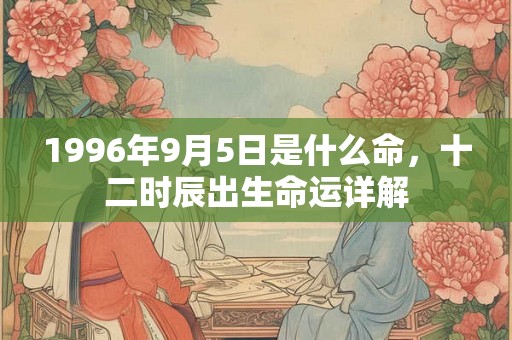 1996年9月5日是什么命，十二时辰出生命运详解