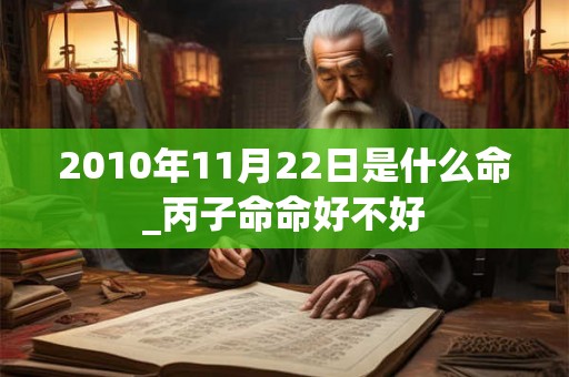 2010年11月22日是什么命_丙子命命好不好