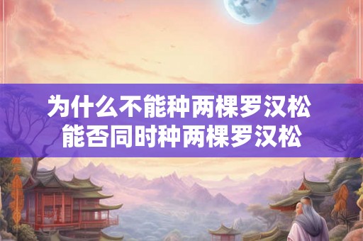 为什么不能种两棵罗汉松 能否同时种两棵罗汉松