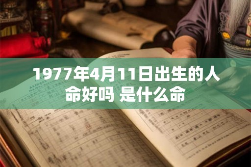 1977年4月11日出生的人命好吗 是什么命
