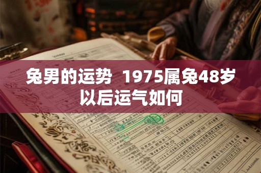 兔男的运势 1975属兔48岁以后运气如何 兔男的运势 1975属兔48岁以后运气如何