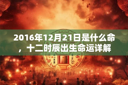 2016年12月21日是什么命,十二时辰出生命运详解 2016年12月21日是什么命,十二时辰出生命运详解