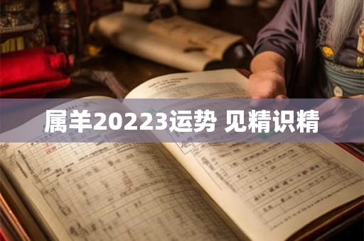 属羊20223运势 见精识精