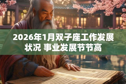 2026年1月双子座工作发展状况 事业发展节节高 2026年1月双子座工作发展状况 事业发展节节高