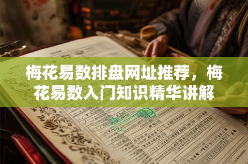 梅花易数排盘网址推荐，梅花易数入门知识精华讲解