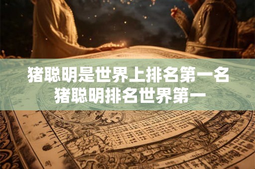猪聪明是世界上排名第一名 猪聪明排名世界第一 猪聪明是世界上排名第一名 猪聪明排名世界第一