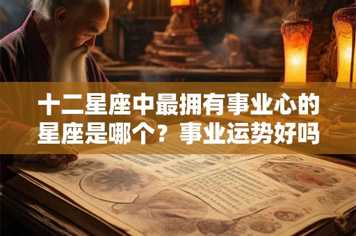 十二星座中最拥有事业心的星座是哪个？事业运势好吗？