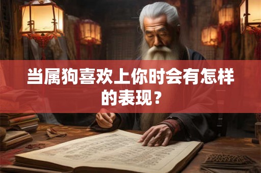 当属狗喜欢上你时会有怎样的表现？