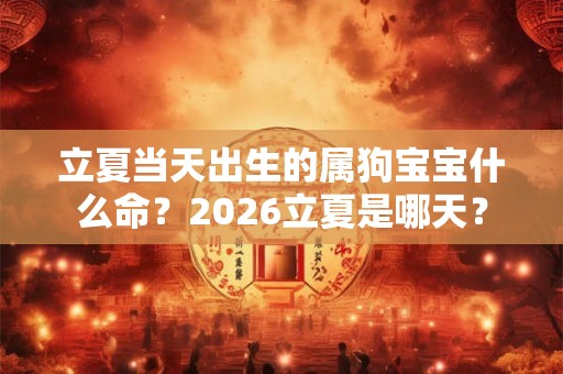 立夏当天出生的属狗宝宝什么命？2026立夏是哪天？