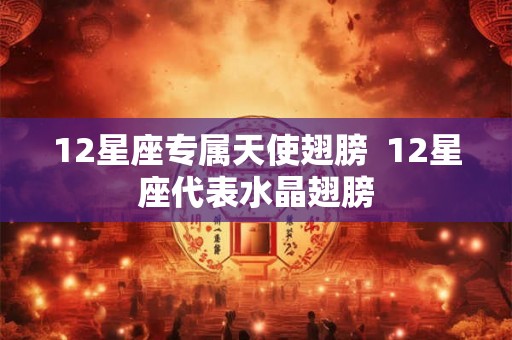 12星座专属天使翅膀  12星座代表水晶翅膀