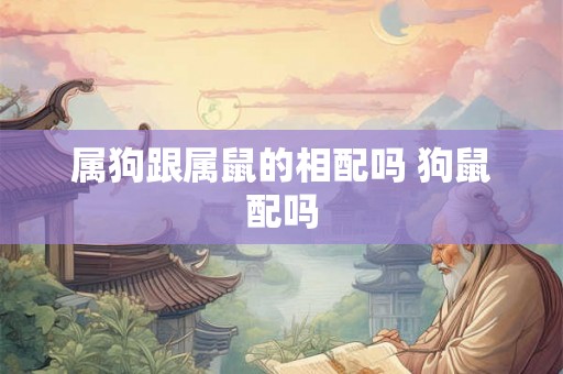属狗跟属鼠的相配吗 狗鼠配吗