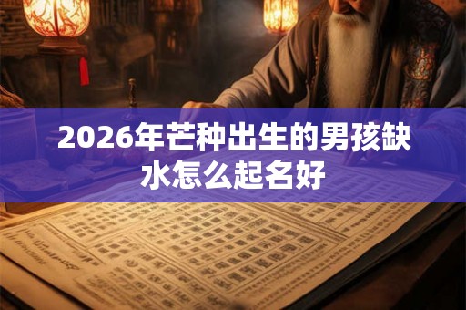 2026年芒种出生的男孩缺水怎么起名好