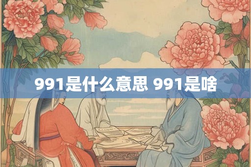 991是什么意思 991是啥