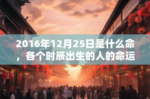 2016年12月25日是什么命,各个时辰出生的人的命运 2016年12月25日是什么命,各个时辰出生的人的命运