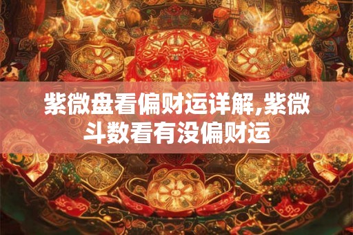 紫微盘看偏财运详解,紫微斗数看有没偏财运