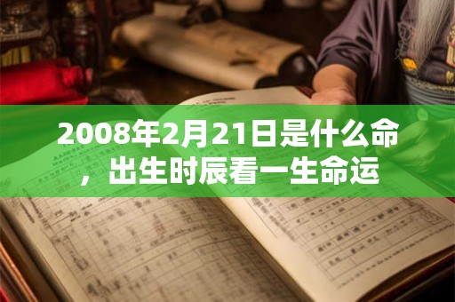 2008年2月21日是什么命，出生时辰看一生命运