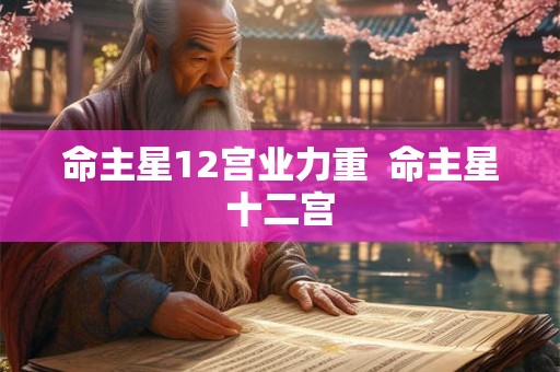 命主星12宫业力重 命主星十二宫 命主星12宫业力重 命主星十二宫