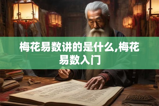 梅花易数讲的是什么,梅花易数入门