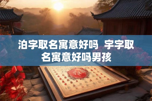 泊字取名寓意好吗  宇字取名寓意好吗男孩