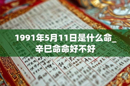 1991年5月11日是什么命_辛巳命命好不好