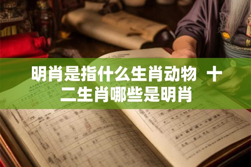 明肖是指什么生肖动物  十二生肖哪些是明肖