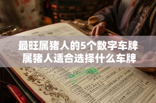 最旺属猪人的5个数字车牌 属猪人适合选择什么车牌