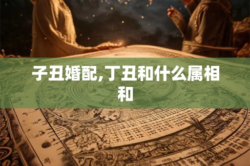 子丑婚配,丁丑和什么属相和