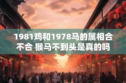 1981鸡和1978马的属相合不合 猴马不到头是真的吗