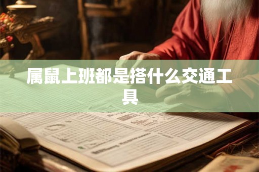 属鼠上班都是搭什么交通工具 属鼠上班都是搭什么交通工具
