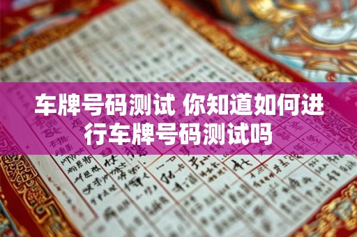 车牌号码测试 你知道如何进行车牌号码测试吗