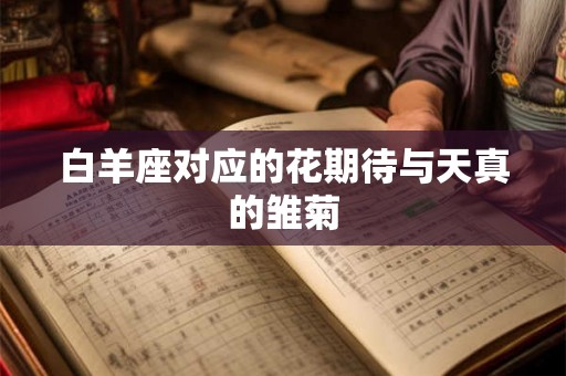 白羊座对应的花期待与天真的雏菊