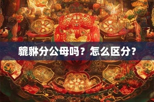 貔貅分公母吗?怎么区分? 貔貅分公母吗?怎么区分?
