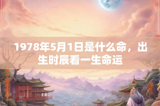 1978年5月1日是什么命，出生时辰看一生命运