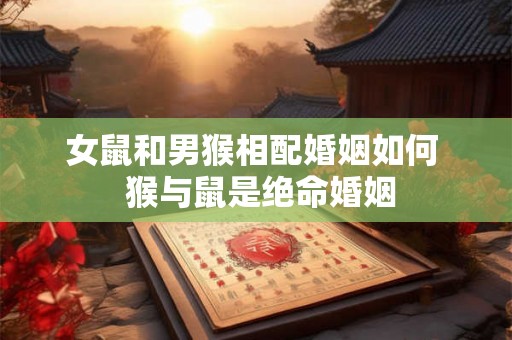 女鼠和男猴相配婚姻如何  猴与鼠是绝命婚姻