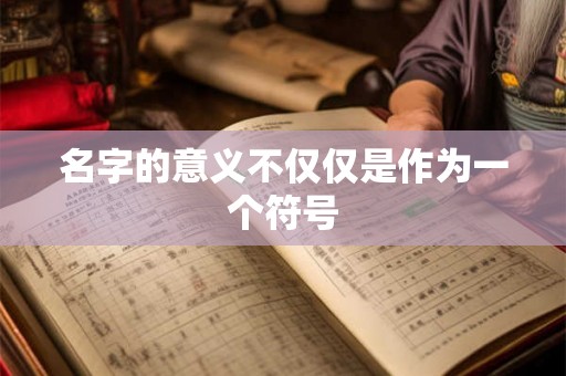 名字的意义不仅仅是作为一个符号