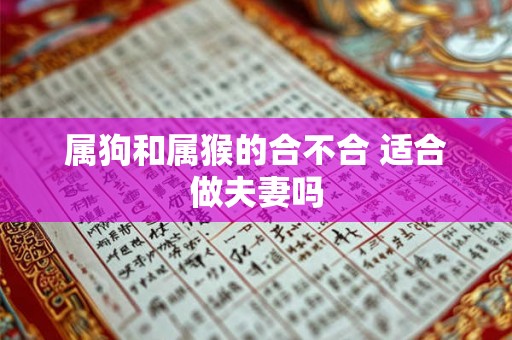 属狗和属猴的合不合 适合做夫妻吗