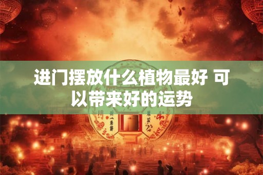 进门摆放什么植物最好 可以带来好的运势