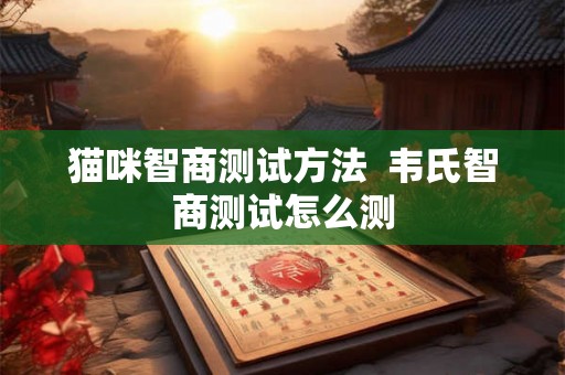 猫咪智商测试方法 韦氏智商测试怎么测 猫咪智商测试方法 韦氏智商测试怎么测