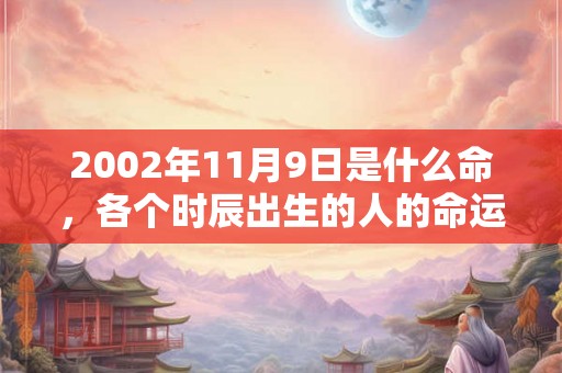2002年11月9日是什么命，各个时辰出生的人的命运