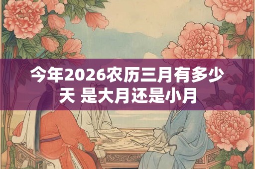 今年2026农历三月有多少天 是大月还是小月