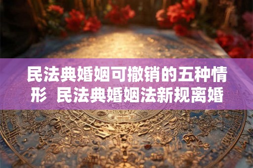 民法典婚姻可撤销的五种情形  民法典婚姻法新规离婚
