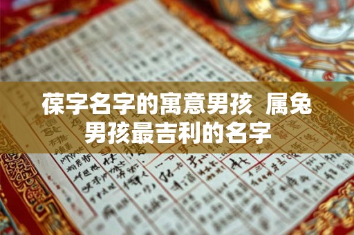 葆字名字的寓意男孩  属兔男孩最吉利的名字