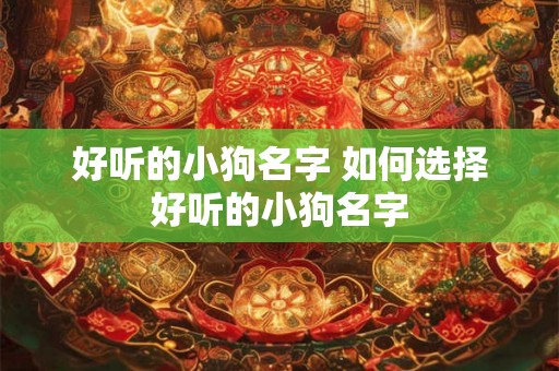 好听的小狗名字 如何选择好听的小狗名字
