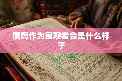 属鸡作为围观者会是什么样子