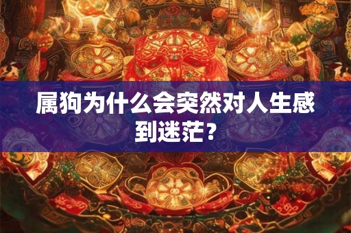 属狗为什么会突然对人生感到迷茫？