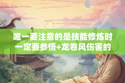 唯一要注意的是技能修炼时一定要参悟+龙卷风伤害的属性 唯一要注意的是技能修炼时一定要参悟+龙卷风伤害的属性