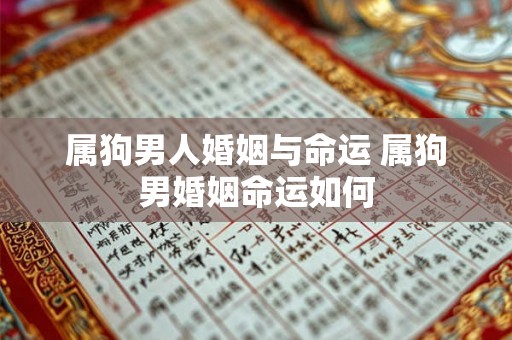 属狗男人婚姻与命运 属狗男婚姻命运如何 属狗男人婚姻与命运 属狗男婚姻命运如何