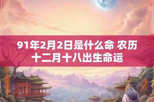 91年2月2日是什么命 农历十二月十八出生命运