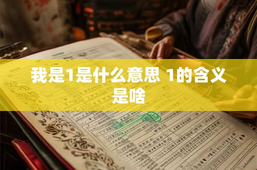 我是1是什么意思 1的含义是啥